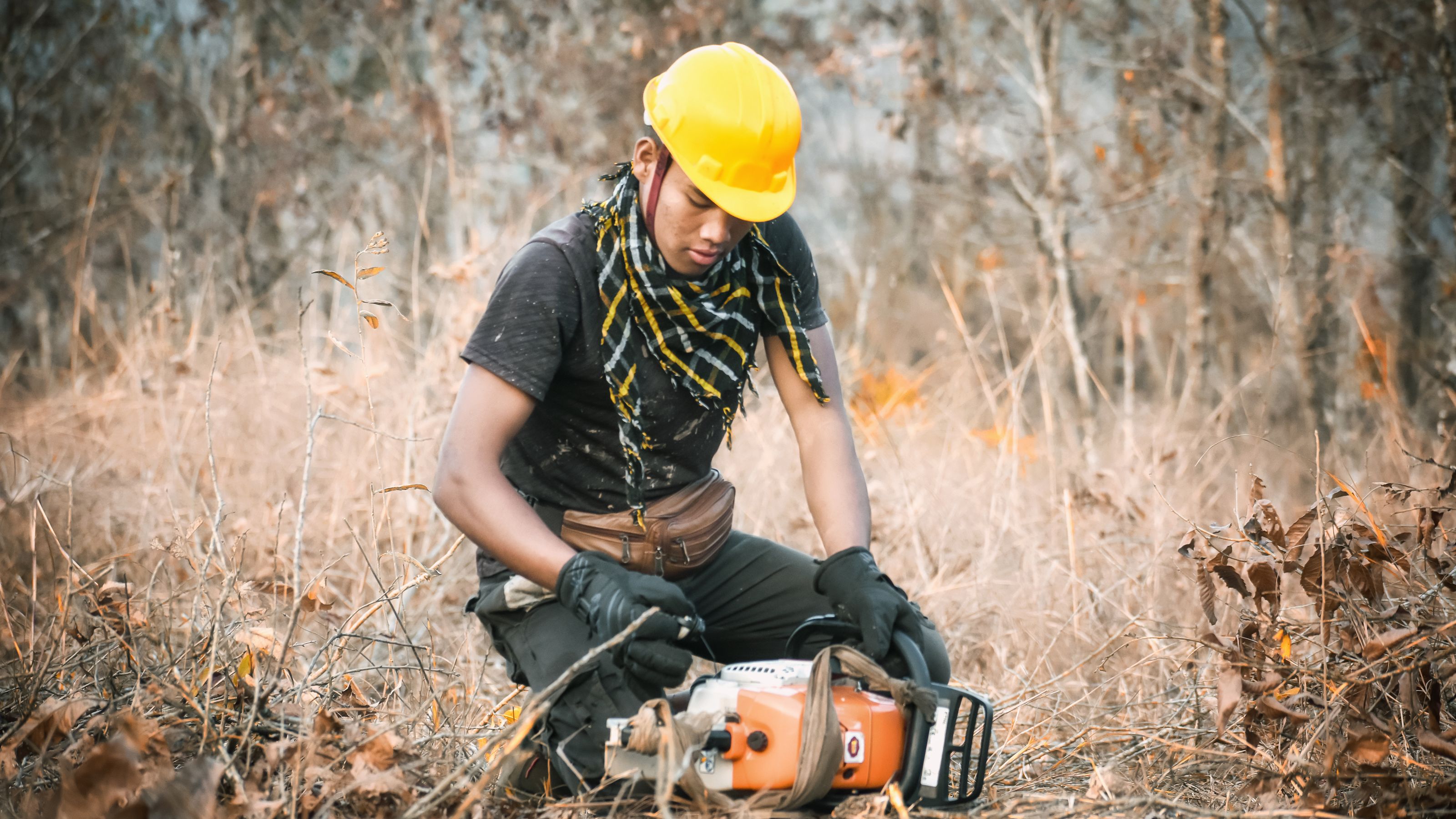 Zeckenschutz für Handwerker: Repellent, Permethrin & Zecken richtig entfernen